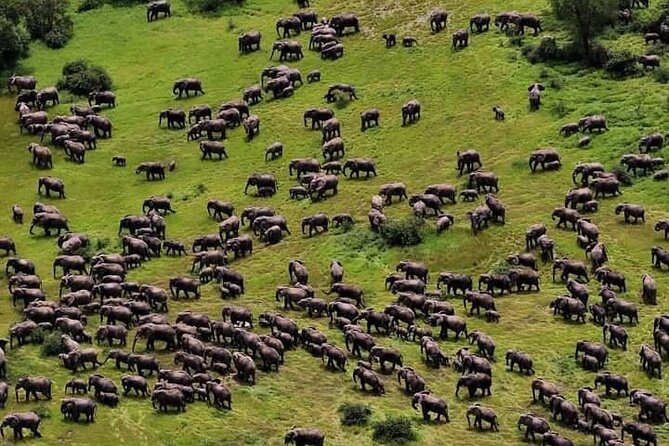 3-Day Private Budget Safari to Serengeti Np and Ngorongoro Crater - Directions