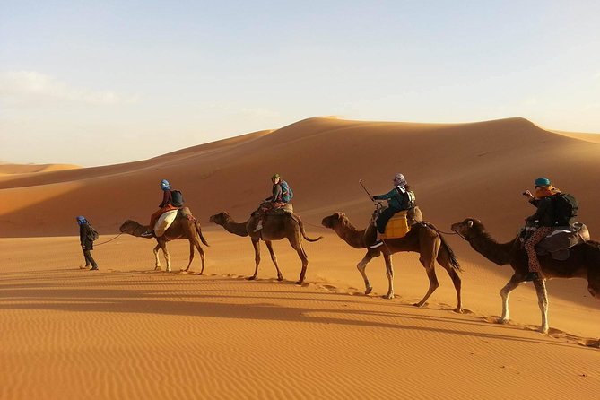 3-Day Private Desert Tour From Marrakech to Fez - Tour Overview and Itinerary