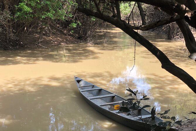 3 Day Private Elephant Safari at Mole National Park - Accessibility Information