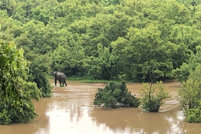 3 Day Private Elephant Safari at Mole National Park - Pricing and Availability