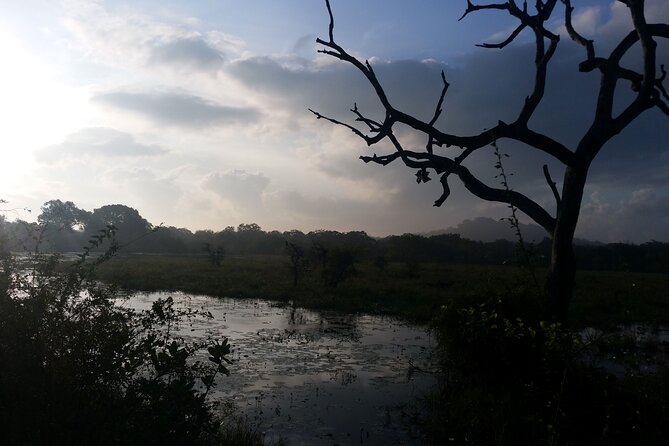 3-Day Private Guided Safari Tour in Yala National Park Sri Lanka - Tour Highlights