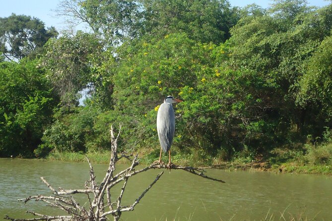 3-Day Private Guided Safari Tour in Yala National Park Sri Lanka - Booking Information