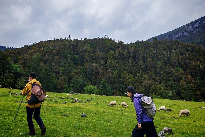 3-Day Private Hike from Haba Village to Tiger Leaping Gorge - A Detailed Look at the 3-Day Private Hike from Haba Village to Tiger Leaping Gorge