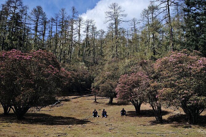 3-Day Private Hike from Haba Village to Tiger Leaping Gorge - Final Thoughts: Who Will Love This Tour?
