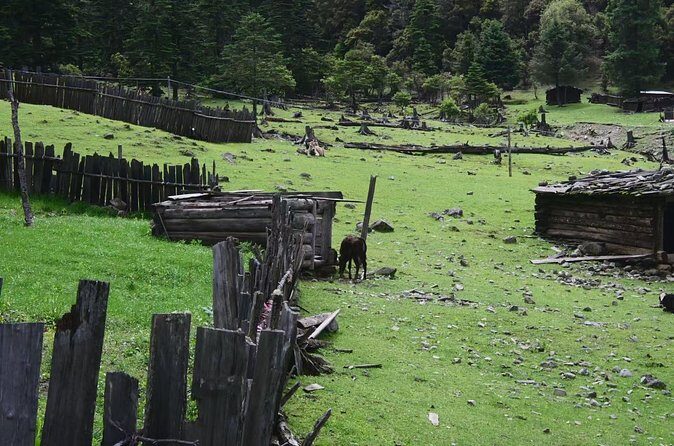 3-Day Private Hike from Haba Village to Tiger Leaping Gorge - Final Word