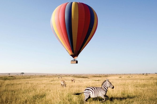 3 Day Private Lodge Safari in Serengeti National Park - Logistics and Meeting Point