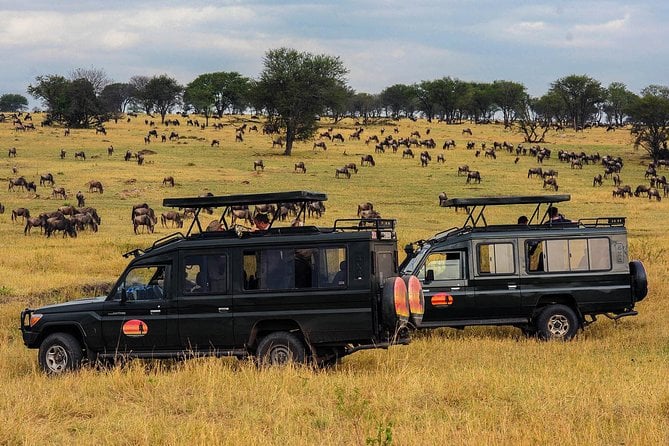 3 Day Private Lodge Safari in Serengeti National Park - Pricing and Booking Information