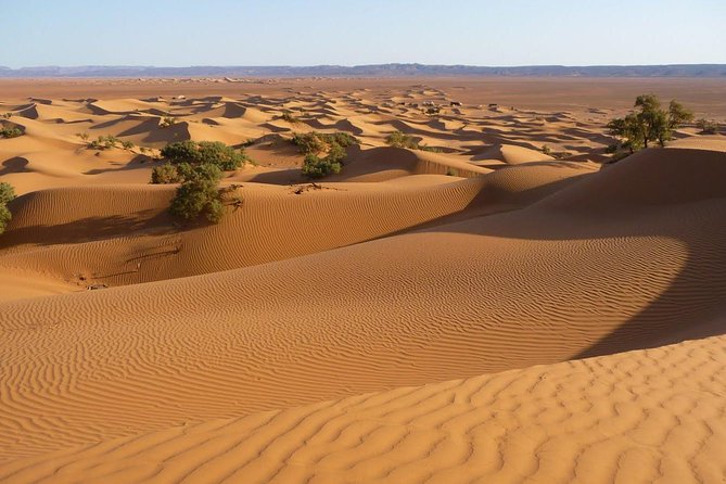 3-Day Private Morocco Desert Tour From Agadir to Erg Chigaga Dunes - The Sum Up