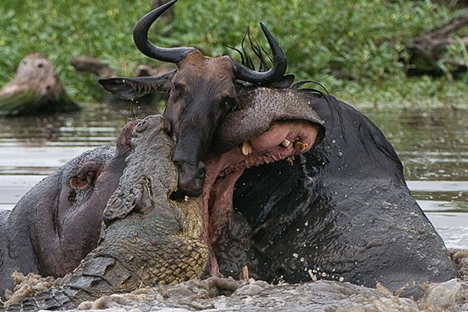 3 Day Private Safari in Serengeti and Ngorongoro National Park - Accommodations and Inclusions