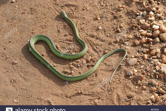 3 Day Private Safari in Serengeti and Ngorongoro National Park - Frequently Asked Questions