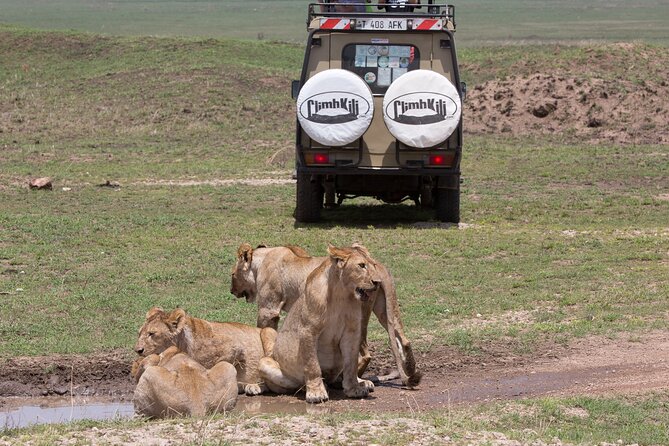 3 Day Private Serengeti Safari Tour With One Way Flight - Customer Reviews and Cancellation Policy