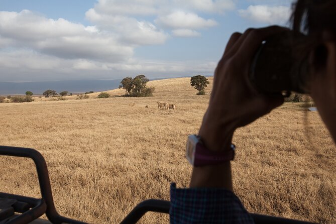 3 Day Private Serengeti Safari Tour With One Way Flight - The Sum Up