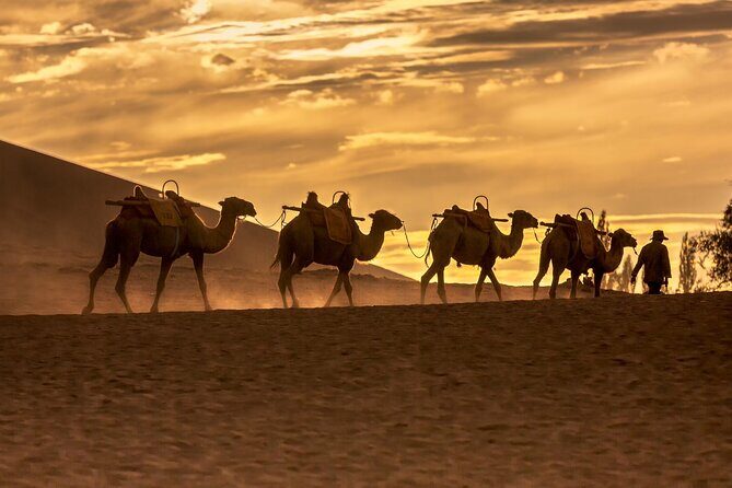 3 Day Private Silk Road Tour of Dunhuang Mogao Grottoes - Good To Know