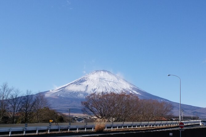3 Day Private Tokyo to Kyoto Tour (Up to 9 Guests) - Tour Overview and Inclusions