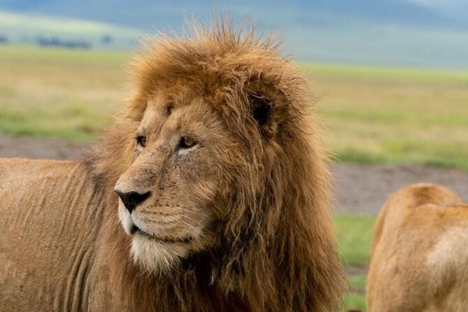 3-Day Private Tour and Safari Murchison Falls National Park - Inclusions and Exclusions