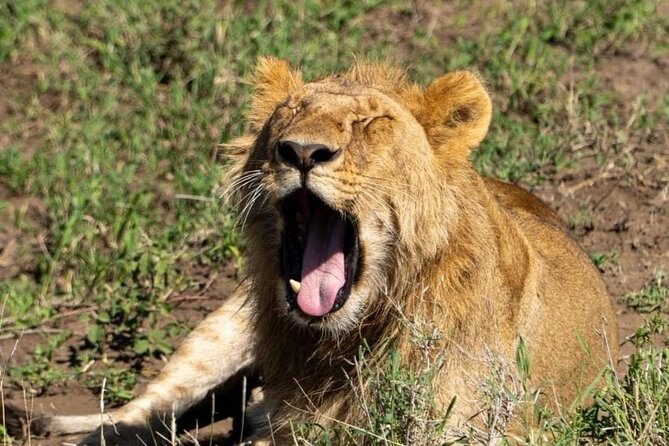 3-Day Private Tour and Safari Murchison Falls National Park - What To Bring