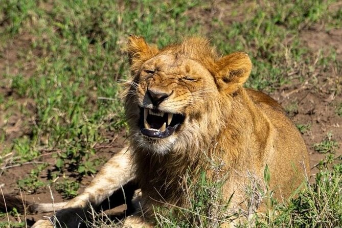 3-Day Private Tour and Safari Murchison Falls National Park - Booking Instructions