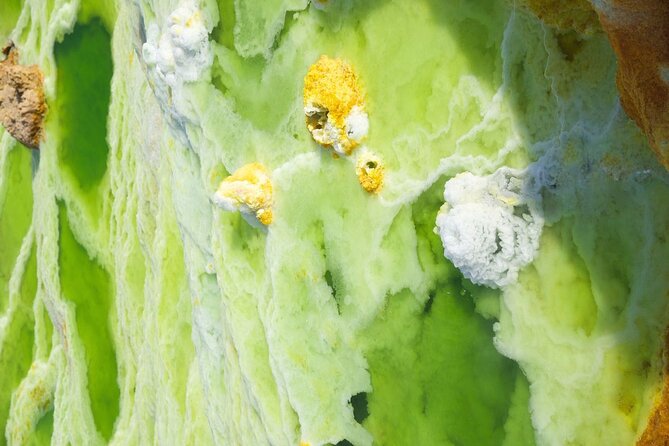 3 Day Private Tour in Denakile Depression -Dallol - Safety Tips