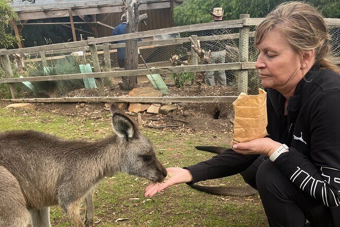 3 Day Private Tour in Tasmania - Breaking Down the Itinerary