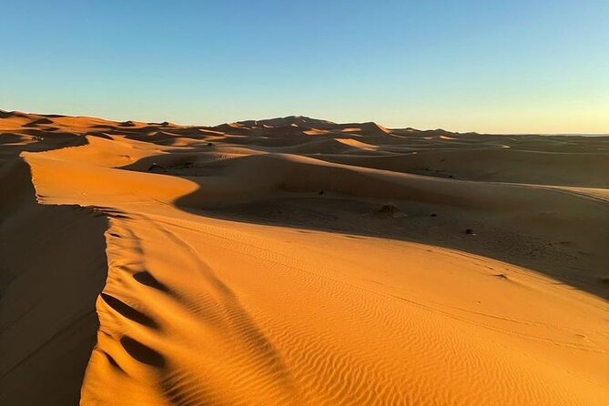 3-Day Private Tour in the Moroccan Desert - Customer Reviews