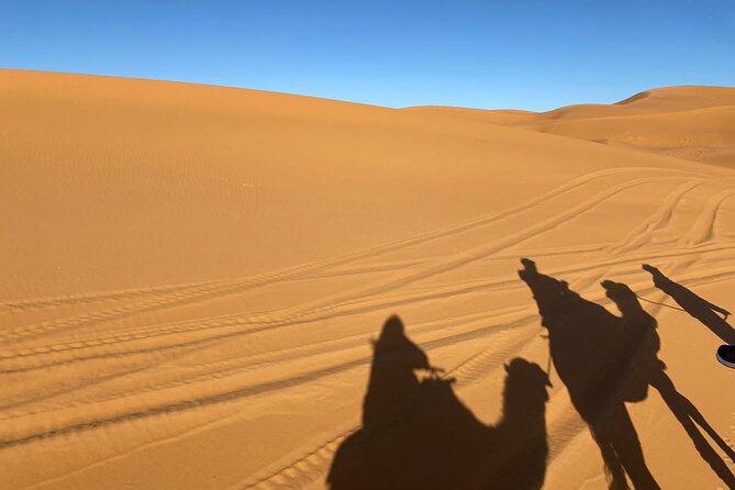 3-Day Private Tour in the Moroccan Desert - What to Expect on the Tour