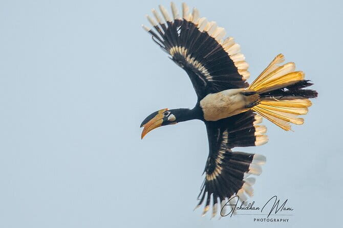 3 day private tour of Hampi from Bangalore by flight with guide and hotel - FAQs