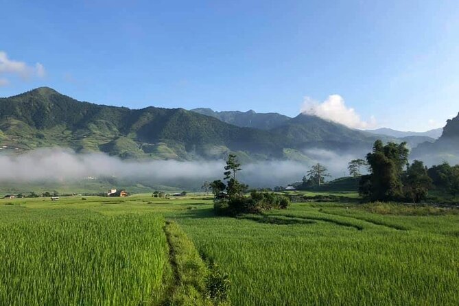 3-Day Private Tour of Indigenous Encounters in Mu Cang Chai From Hanoi - Tour Highlights