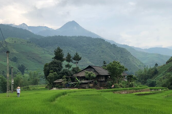 3-Day Private Tour of Indigenous Encounters in Mu Cang Chai From Hanoi - Transportation and Guides