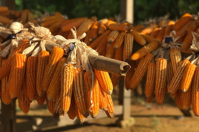 3-Day Private Tour of Indigenous Encounters in Mu Cang Chai From Hanoi - Booking and Pricing Information