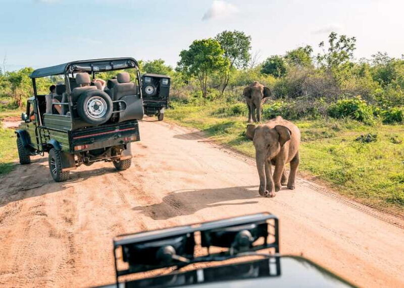 3-Day Private Tour: Sigiriya, Dambulla, Ella With Train Tour - FAQs