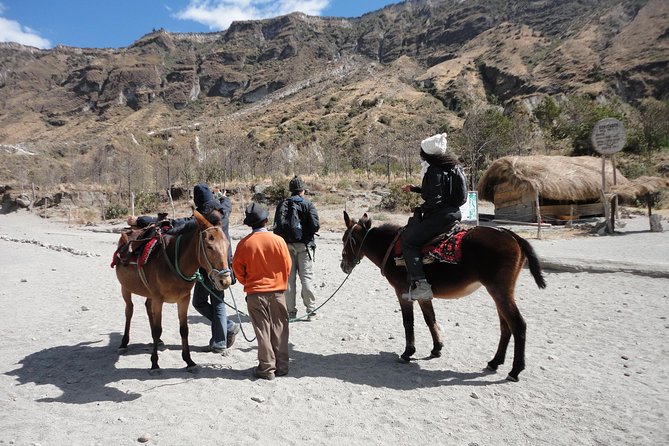 3-Day Private Tour to Cotopaxi Volcano, Quilotoa Lagoon & Baños - Pricing and Reviews