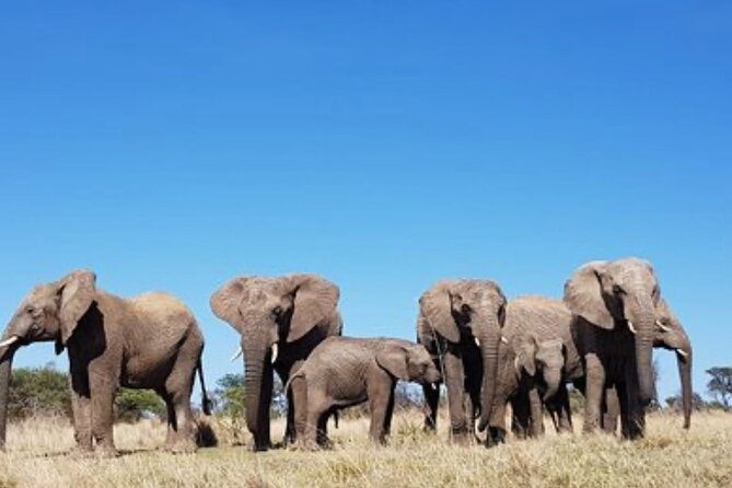 3-Day Private Waterberg The Hidden Gem Tour - Meeting and Pickup
