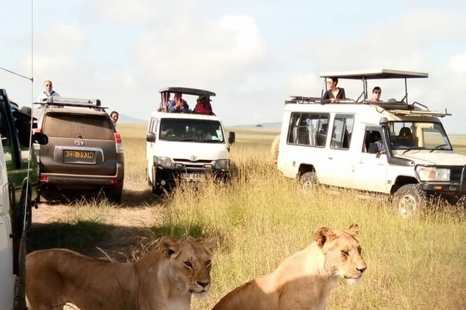 3 Day Private Wild Safari Tour in Maasai Mara - Tour Itinerary