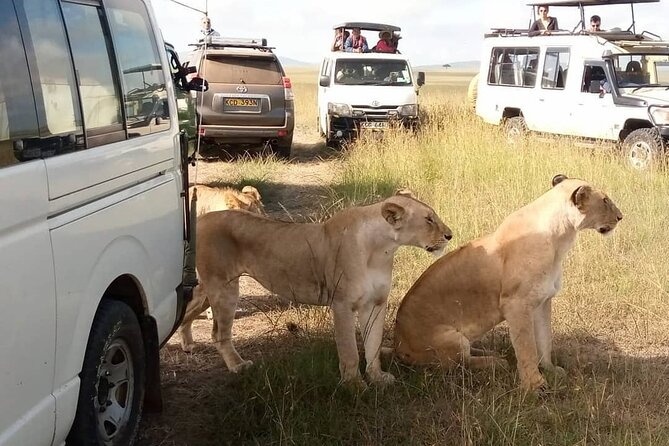 3 Day Private Wild Safari Tour in Maasai Mara - Inclusions and Exclusions