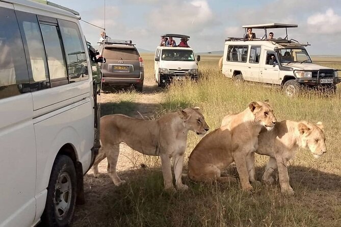 3 Day Private Wild Safari Tour in Maasai Mara - Booking and Cancellation Policy