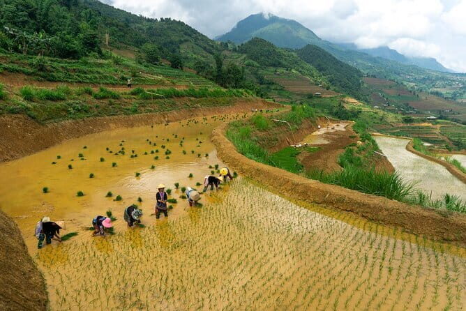 3-Day Pu Luong Natural Reserve from Hanoi, Trek with Local Guide - FAQ