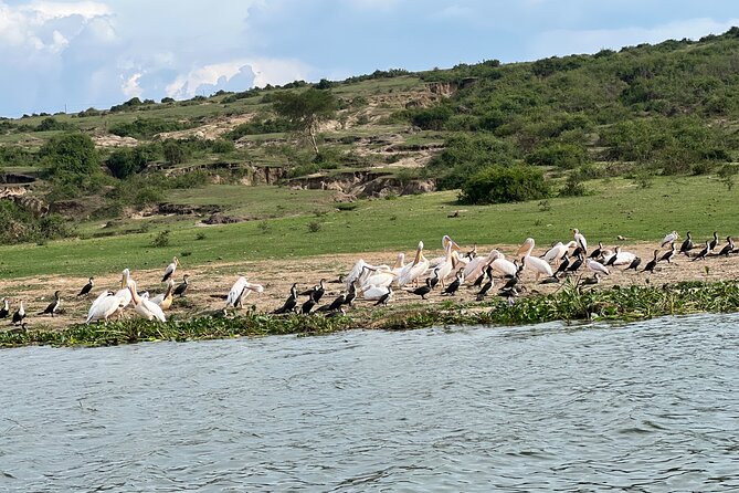 3 Day Queen Elizabeth National Park Budget Tour - Additional Info