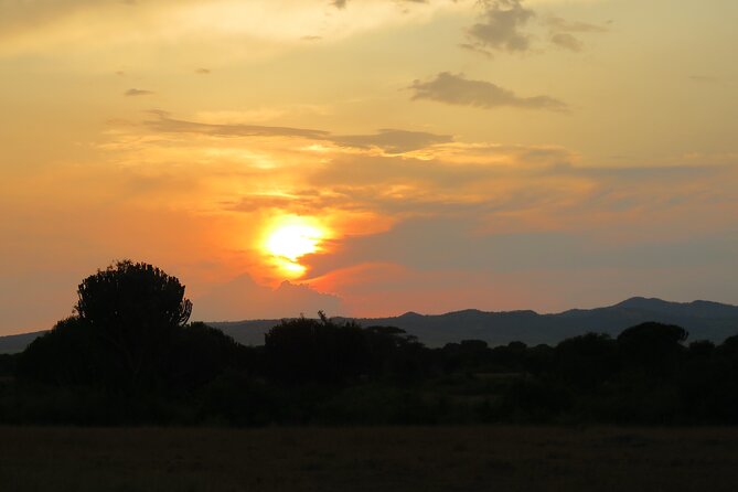3-Day Queen Elizabeth Park Wildlife Safari Plus Chimp Trekking - Accommodation and Meals