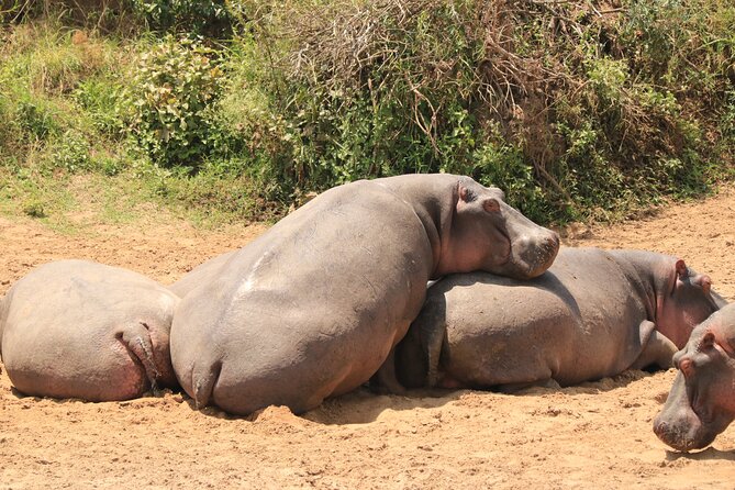 3-Day Safari in Serengeti & Ngorongoro(Mid-range) - Packing Essentials