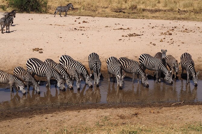 3 Day Safari Tarangire Lake Manyara and Ngorongoro Crater Tour - Operational and Availability Details