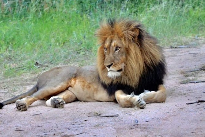 3-Day Safari to Ngorongoro, Tarangire & Lake Manyara NP - Safari Activities