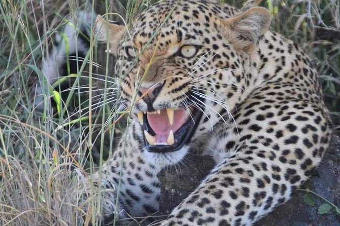 3-Day Safari to Ngorongoro, Tarangire & Lake Manyara NP - Meal Inclusions