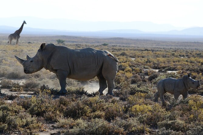 3 Day Safari Tour in Tarangire Ngorongoro Crater and Lake Manyara - Itinerary Highlights