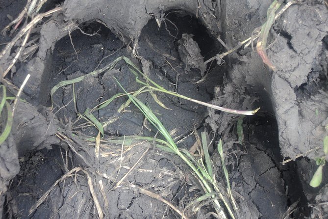 3-Day Safari Trip to Masai Mara National Reserve From Nairobi - Booking Information