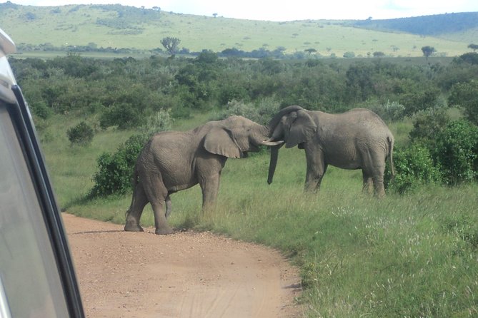 3-Day Safari Trip to Masai Mara National Reserve From Nairobi - Customer Reviews