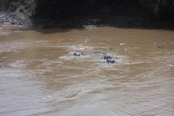 3-Day Safari Trip to Masai Mara National Reserve From Nairobi - Frequently Asked Questions