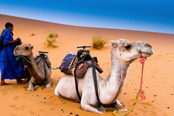 3-Day Sahara Desert To Merzouga From Marrakech - Common Questions