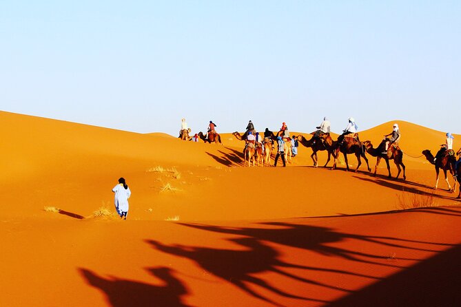 3-Day Sahara Desert Trip From Marrakech To Merzouga - Transportation and Guides