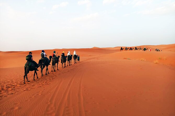 3-Day Sahara Guided Tour From Marrakech to Merzouga Desert - Pricing and Payment Details