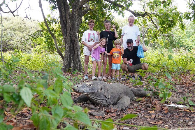 3-Day Sailing Adventure Around Komodo National Park - Exploring the Itinerary in Detail